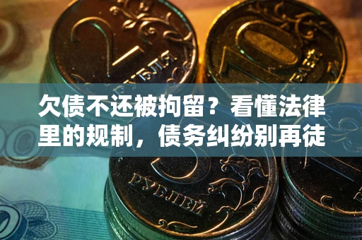 武汉欠债不还被拘留？看懂法律里的规制，债务纠纷别再徒劳奔波