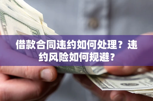 武汉借款合同违约如何处理？违约风险如何规避？