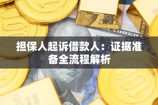 武汉担保人起诉借款人：证据准备全流程解析