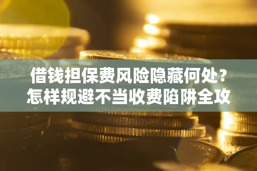 武汉借钱担保费风险隐藏何处？怎样规避不当收费陷阱全攻略！